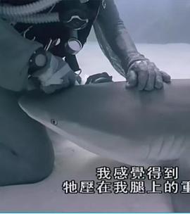重访蓝色星球 第01集