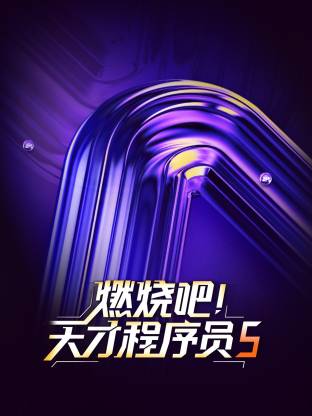燃烧吧！天才程序员第五季(全集)