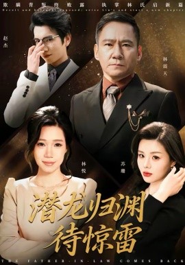 潜龙归渊待惊雷 第09集