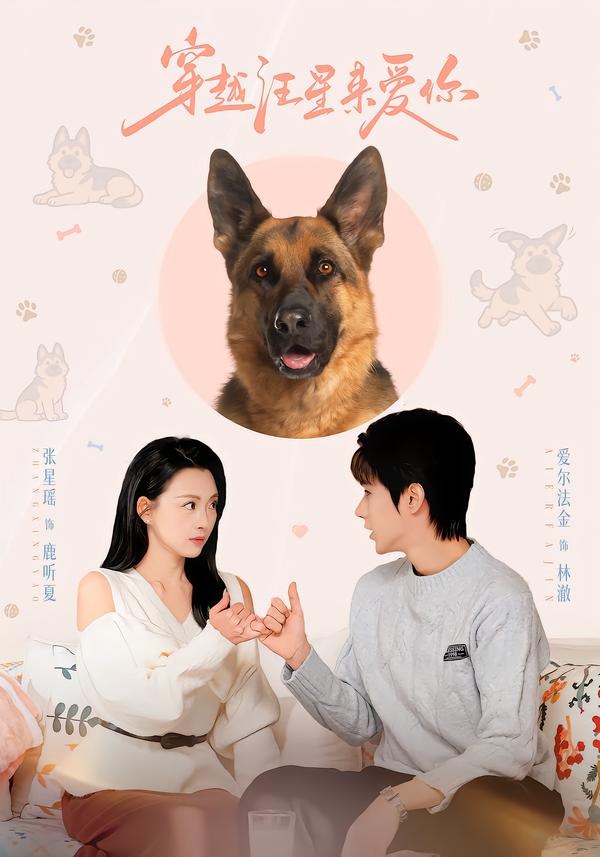穿越汪星来爱你 合全集(大结局)