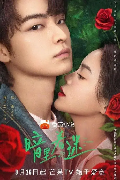 暗里着迷(全集)