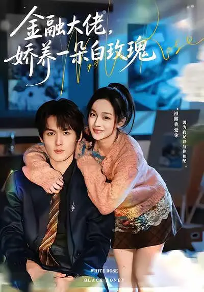 金融大佬，娇养一朵白玫瑰(全集)
