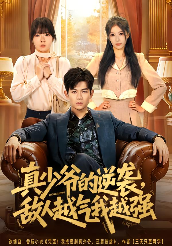 真少爷的逆袭，敌人越气我越强.