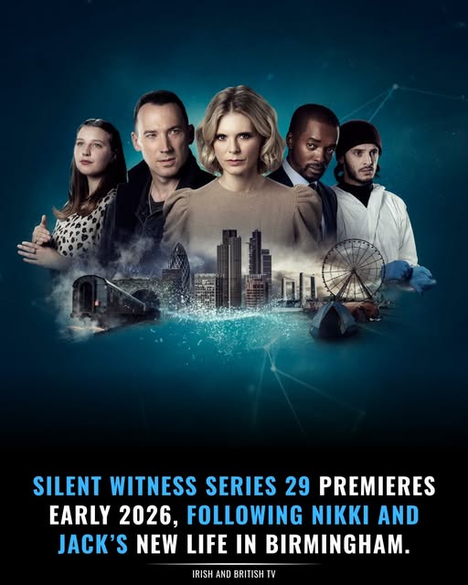 无声的证言第二十九季(全集)