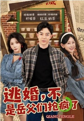 逃婚，不，是岳父们抢疯了(全集)