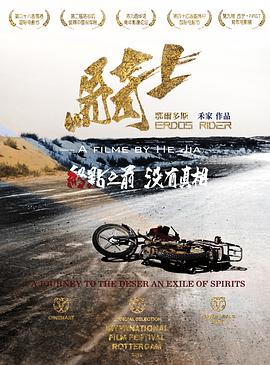 鄂尔多斯骑士(全集)