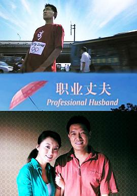 职业丈夫(全集)