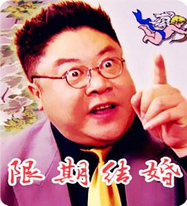 限期结婚(全集)
