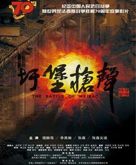 圩堡枪声(全集)