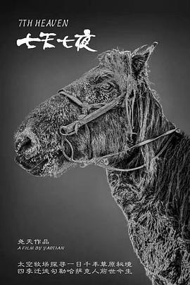 七天七夜(全集)