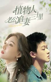 植物人老公追妻三十里全集(全集)
