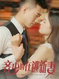 齐少的在逃新妻(全集)