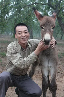 火舞黄沙(全集)