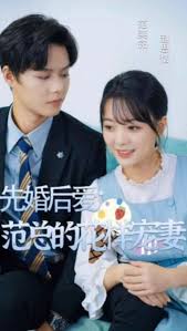 先婚后爱：范总的花样宠妻(全集)
