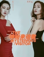 神秘来访者(全集)