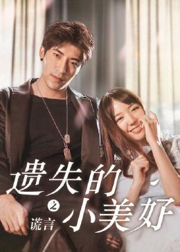 遗失的小美好之谎言(全集)