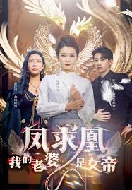 我的老婆是女帝(全集)