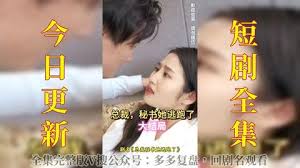 总裁,秘书她逃跑了(全集)