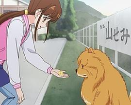 狗狗国际大赛(全集)