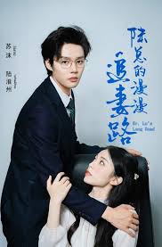 陆总的漫漫追妻路(全集)