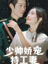 少帅娇宠特工妻-合成版(全集)