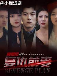 离婚后,复仇前妻(全集)