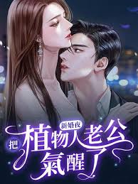 新婚夜把植物人老公气醒了(全集)