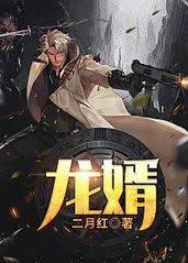 护花龙婿(全集)