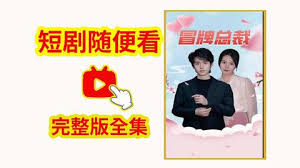 冒牌总裁(全集)