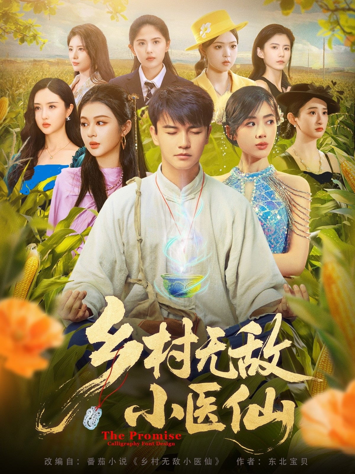 乡村无敌小医仙(全集)