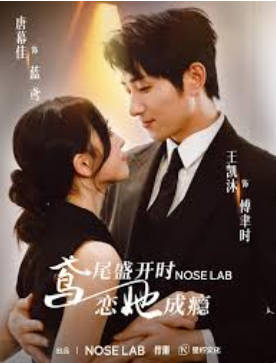 鸢尾盛开时恋她成瘾(全集)