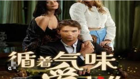 循着气味爱上你(全集)