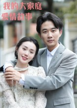 我的大家庭爱情故事(全集)