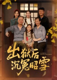 出狱后沉冤昭雪(全集)