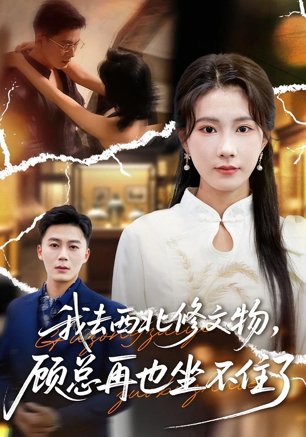 我去西北修文物-顾总再也坐不住了(全集)