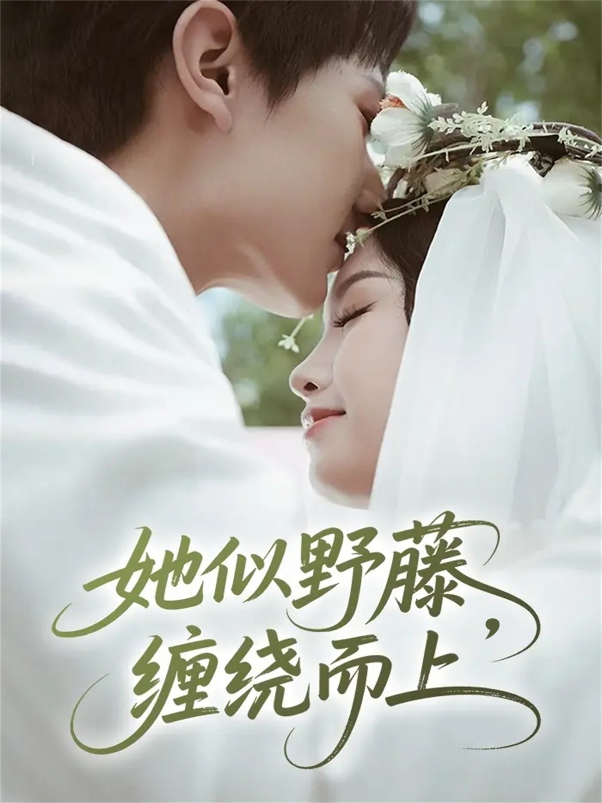 她似野藤-缠绕而上(全集)