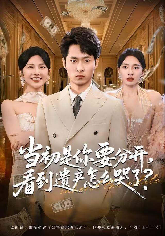 当初是你要分开-看到遗产怎么哭了(全集)