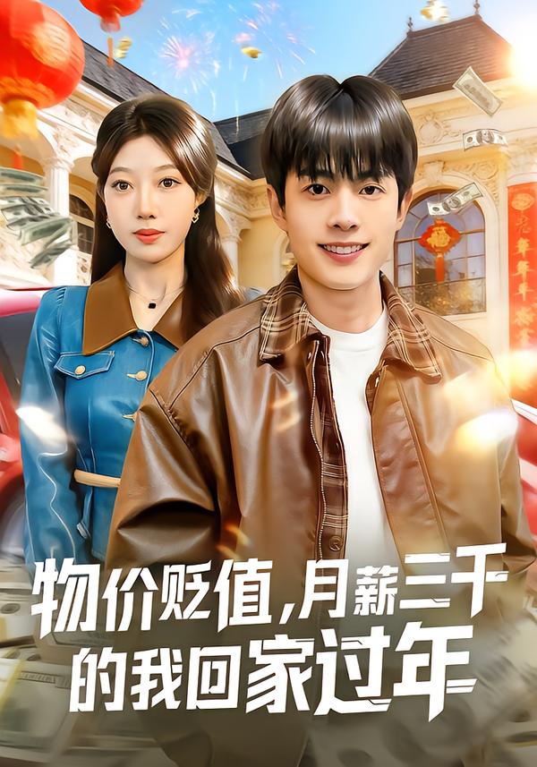 物价贬值-月薪三千的我回家过年(全集)