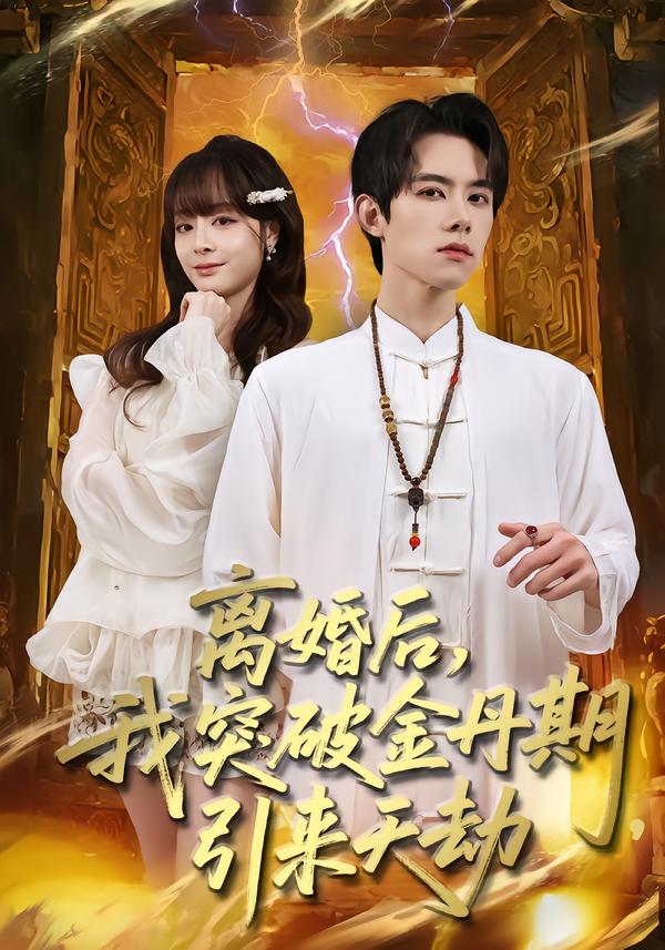 离婚后-我突破金丹期-引来天劫(全集)